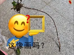 Download Video: 看完这个视频你还敢地栽薄荷吗？