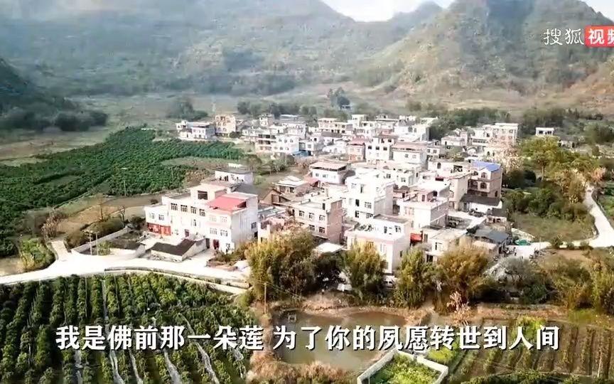 [图]佛教音乐歌曲——（佛前一朵莲）