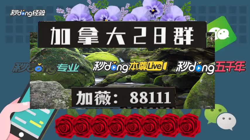 28加拿大组合2.8卡红