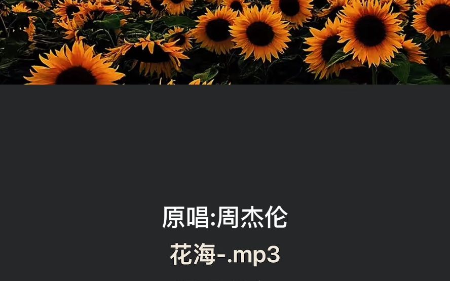 翻唱-周杰伦花海