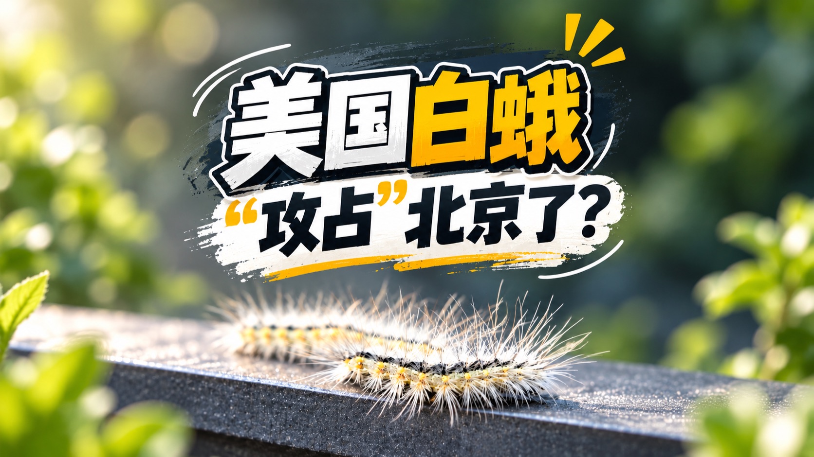 毛毛虫“攻占”北京了？来看看怎么个事！