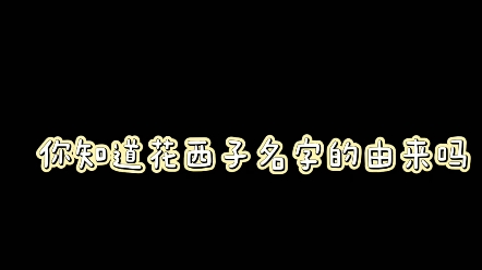 你知道花西子名字的由来吗哔哩哔哩bilibili