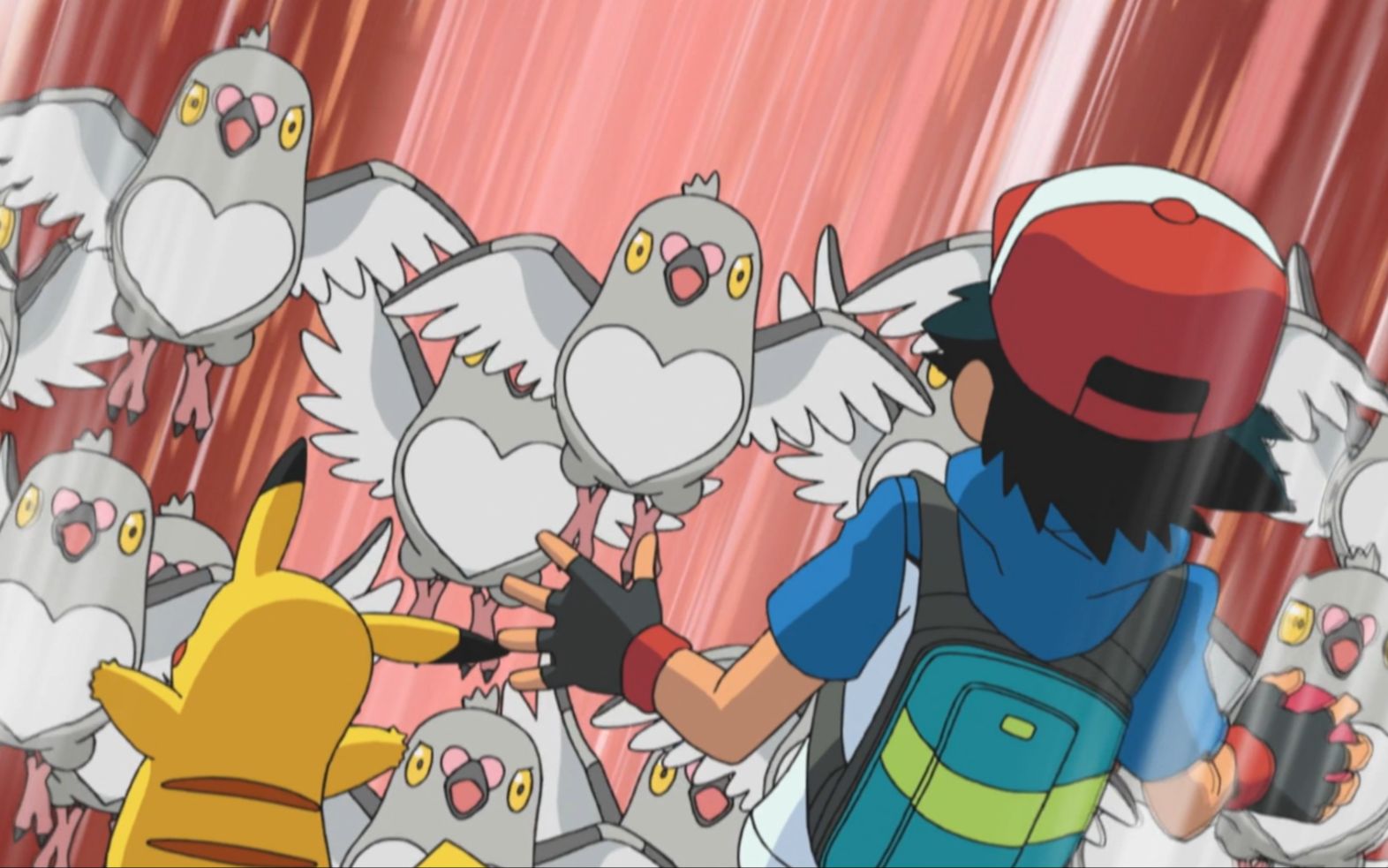 【奇耻大辱】豆豆鸽怎么这么难抓!