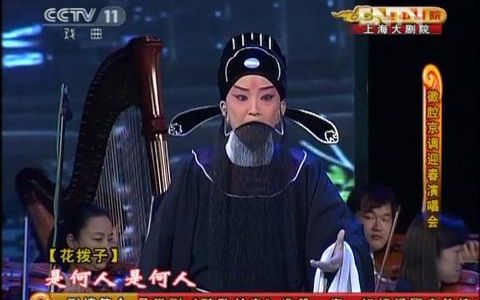 [图]王珮瑜 - 徽剧《醉卧长安》（选段 · 徽腔京调迎春演唱会）