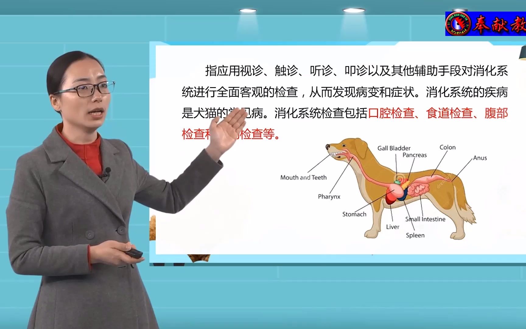 [图]3、宠物疾病诊治