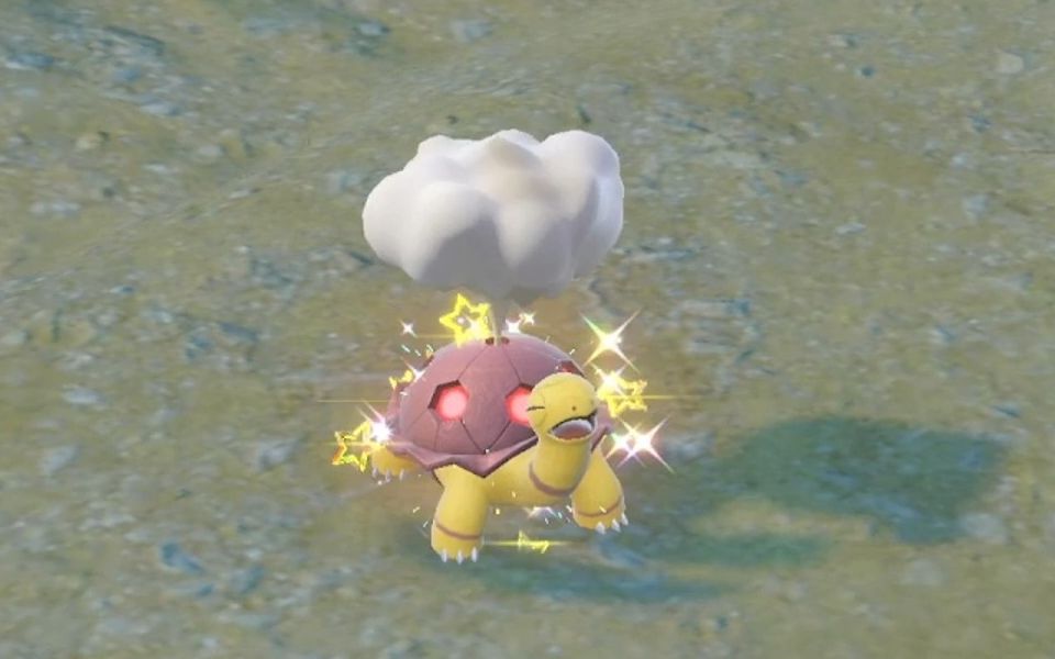 闪光煤炭龟get,小小的也很可爱嘛