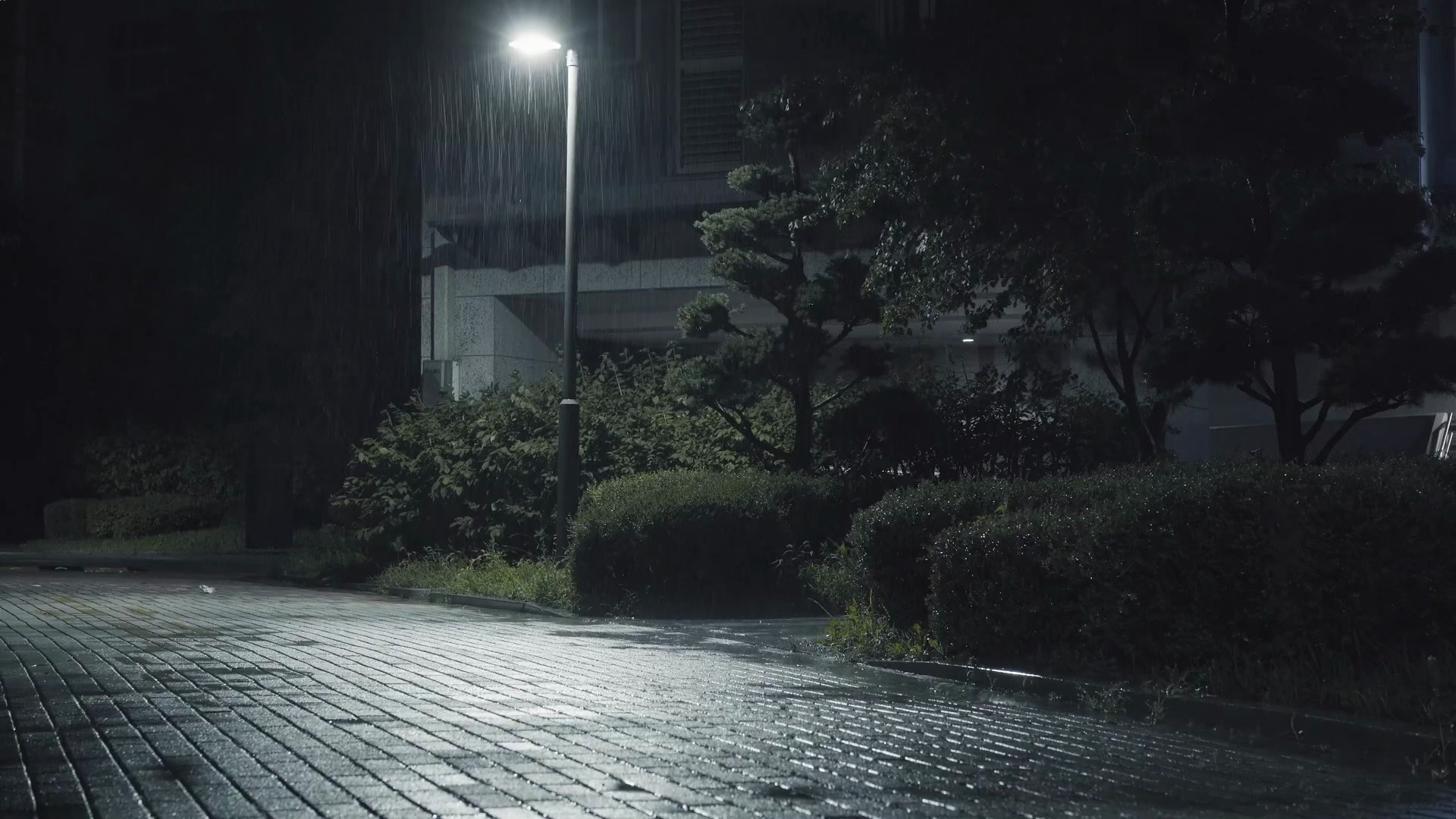 大雨之夜的社区雨景实拍