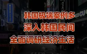 Download Video: 【卢克文工作室】韩国调查报告（一）：奇葩新闻多必有古怪，深入韩国民间全面调研