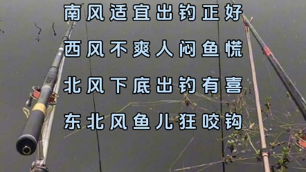 野钓鲫鱼风向口诀东风不稳出钓抓紧南风适宜出钓正好西风不爽人闷鱼慌北风下底出钓有喜东北风鱼儿狂咬钩东南风钓鱼易空军西南风气死老鱼翁西北风鱼儿...