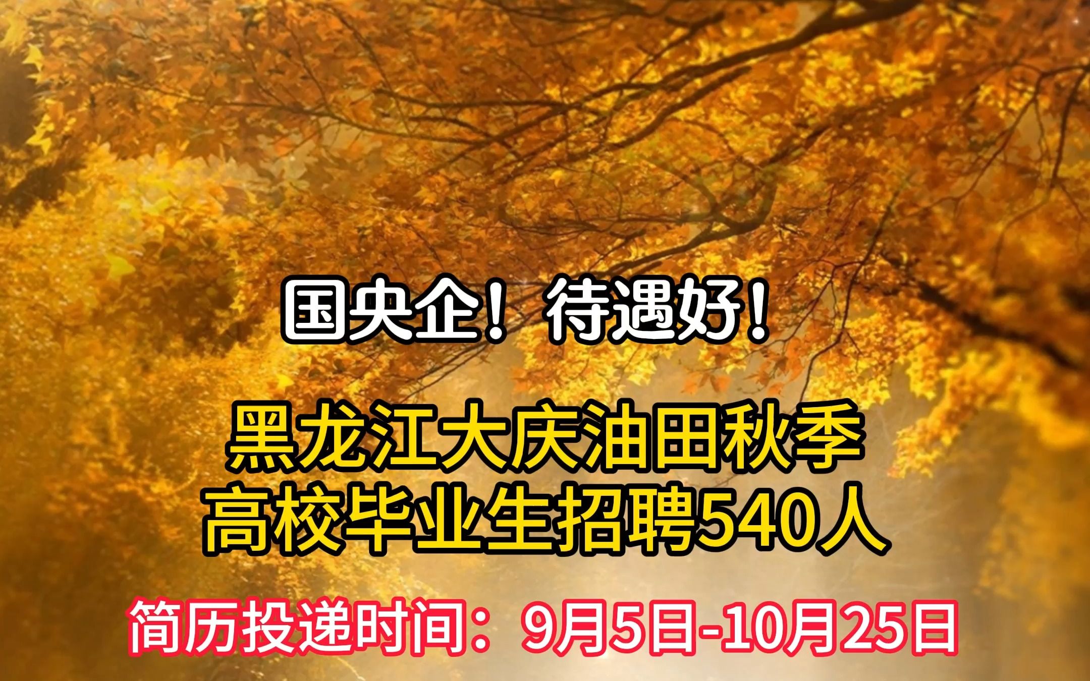 黑龙江大庆油田秋季高校毕业生招聘540人!哔哩哔哩bilibili