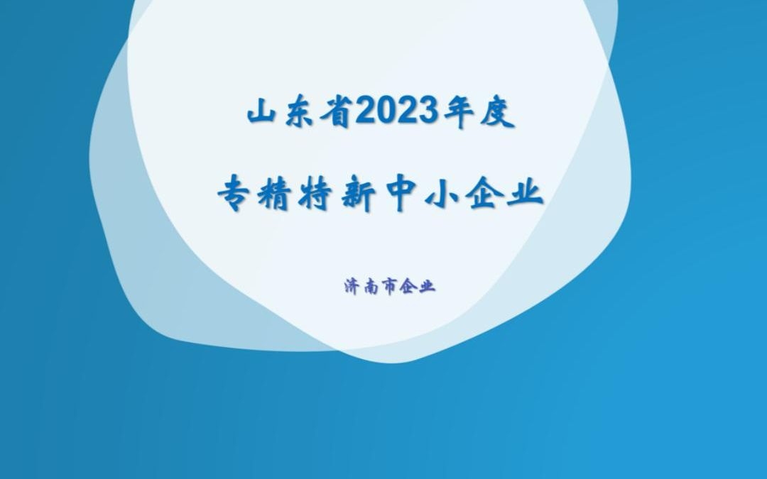 山东省2023年度专精特新中小企业济南哔哩哔哩bilibili