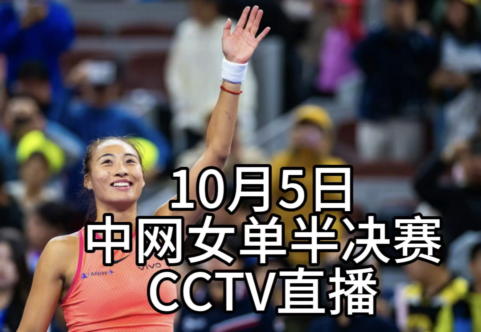 中央5台直播中网时间表:今晚CCTV5几点直播郑钦文vs 穆霍娃?哔哩哔哩bilibili