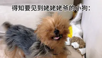 要去串门了，看看小狗能有多高兴