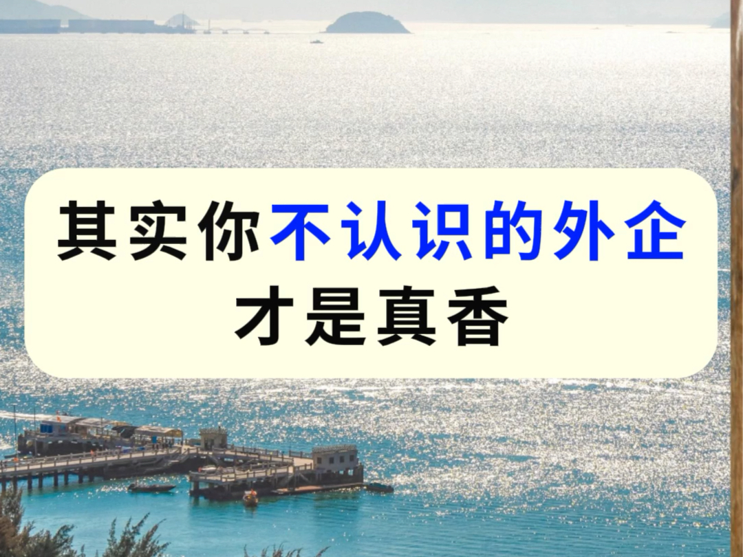 小众冷门外企合集!外企是真的香,假期多、双休不卷、福利待遇也超好哔哩哔哩bilibili