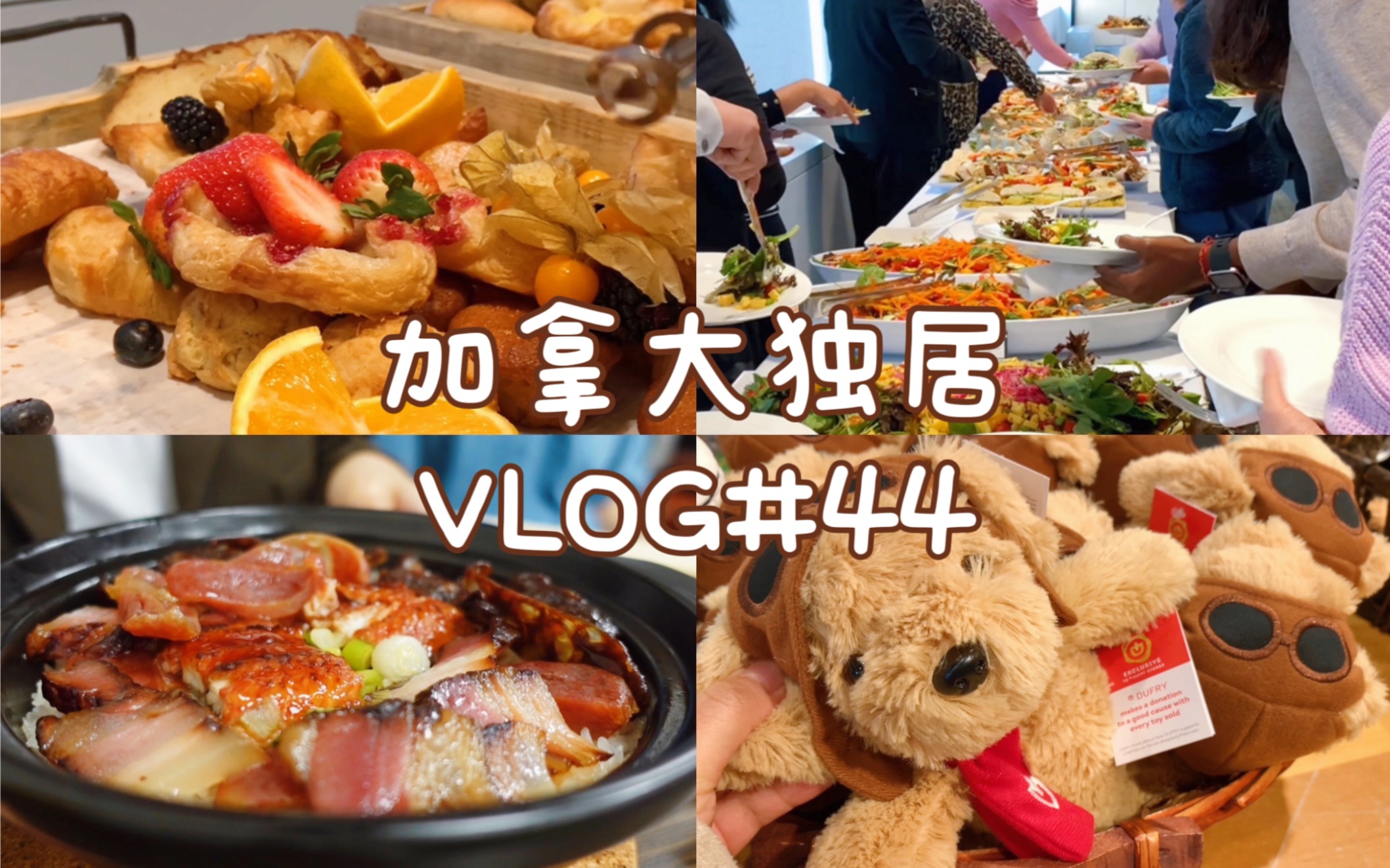 vlog#44|回国前一周的生活|自制梦龙卷|万圣节南瓜|公司培训|煲仔饭|飞机餐|哔哩哔哩bilibili