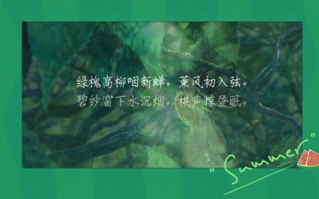 微雨过,小荷翻.榴花开欲然.哔哩哔哩bilibili