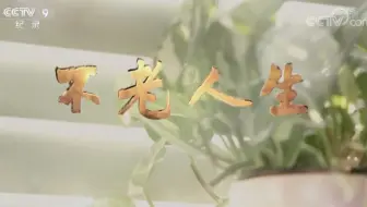【央视】纪录频道CCTV-9《不老人生》