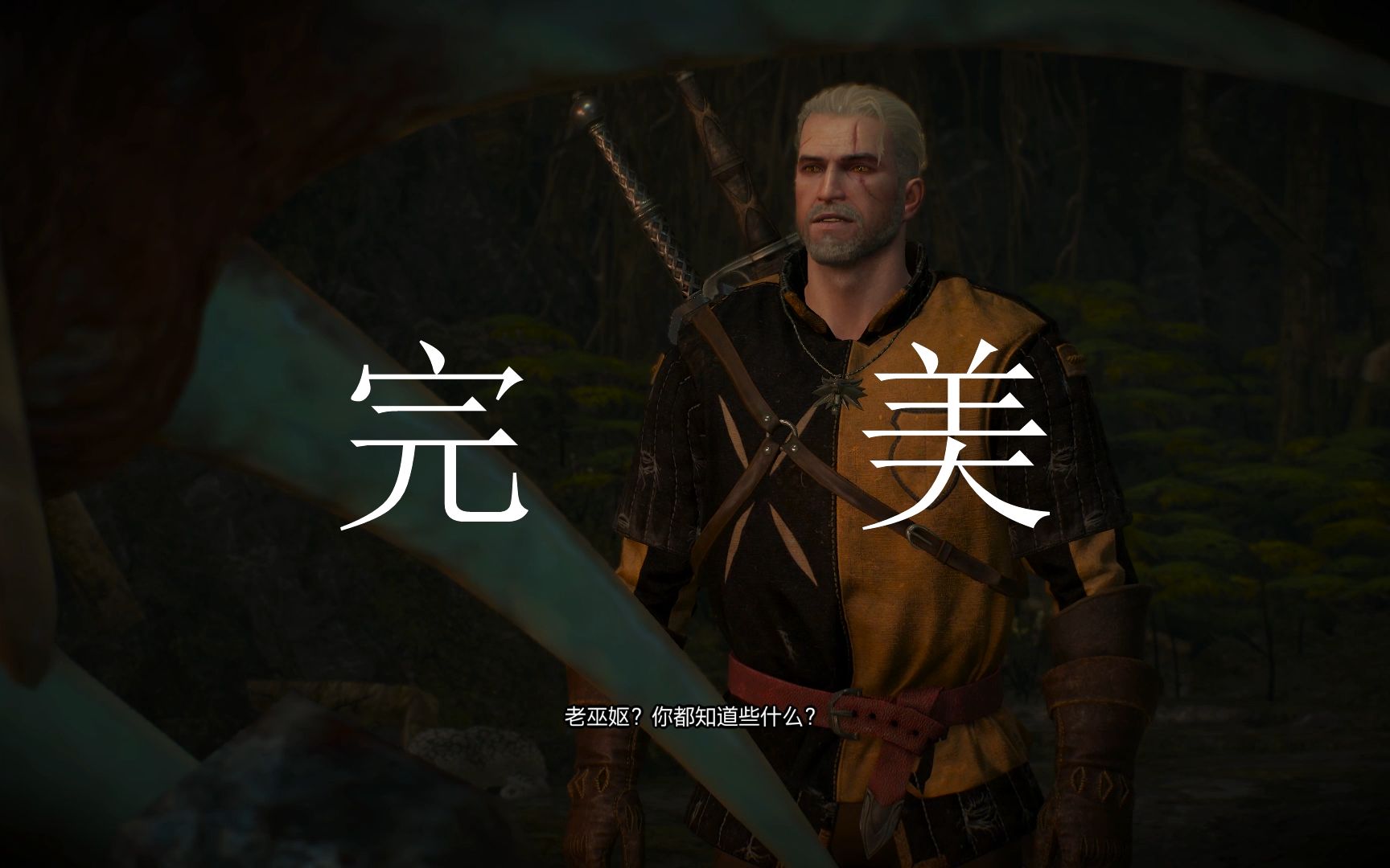 【巫师3】八秒教会你血腥男爵和树心/黑美人都存活方法 无剧透 完美版