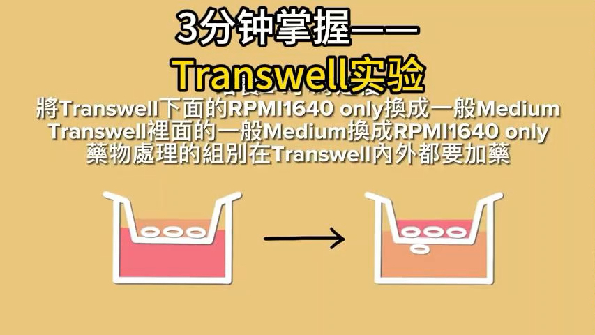 细胞实验 Transwell 技术,精准操作,助力科研.培养、换液、固定、染色,步骤严谨.快来体验吧!#细胞实验 #Transwell #科研技术哔哩哔哩bilibili