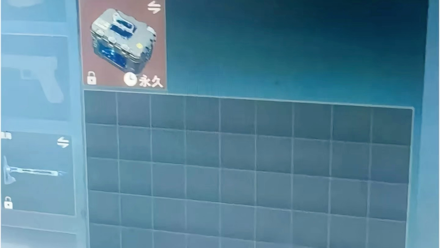 永久9x9保险？ #三角洲护航 #三角洲行动 #三角洲行动欢乐剧场 #三角洲陪玩