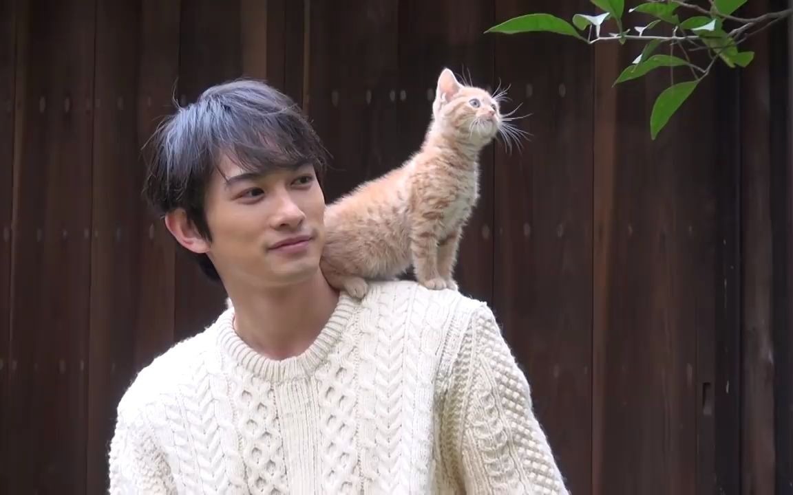 花絮町田启太と仔猫梅佳代撮影