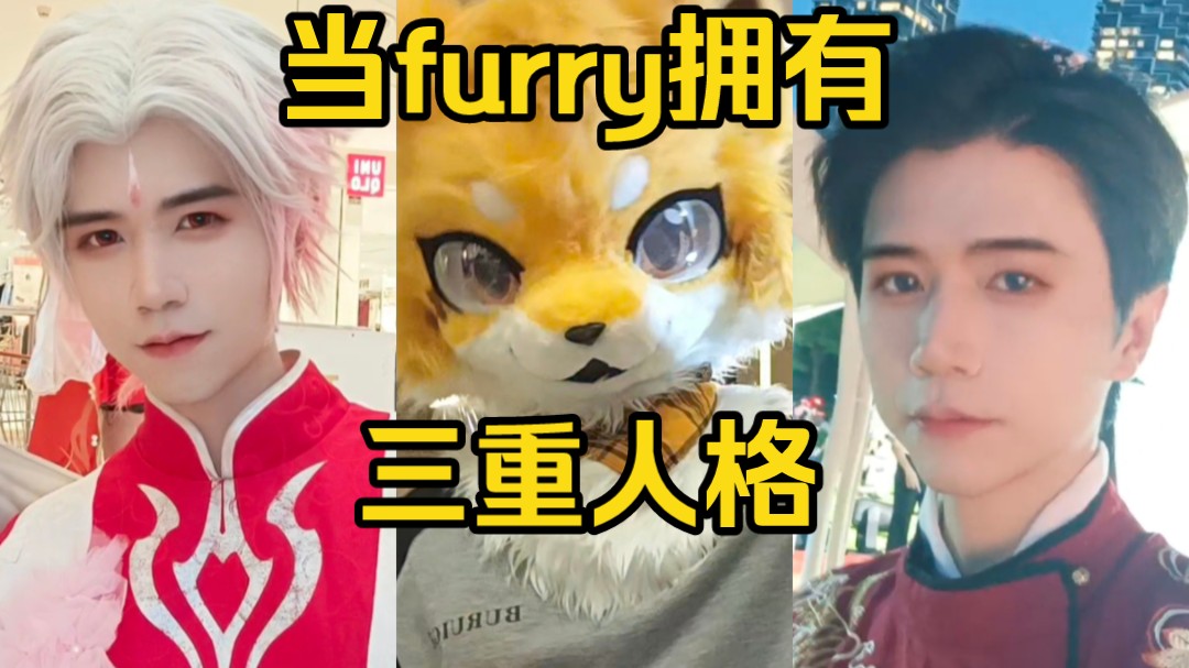 【Furry】当我同时拥有三重人格是种怎样的体验哔哩哔哩bilibili