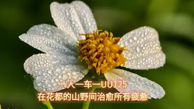 山野愛月-哔哩哔哩_Bilibili