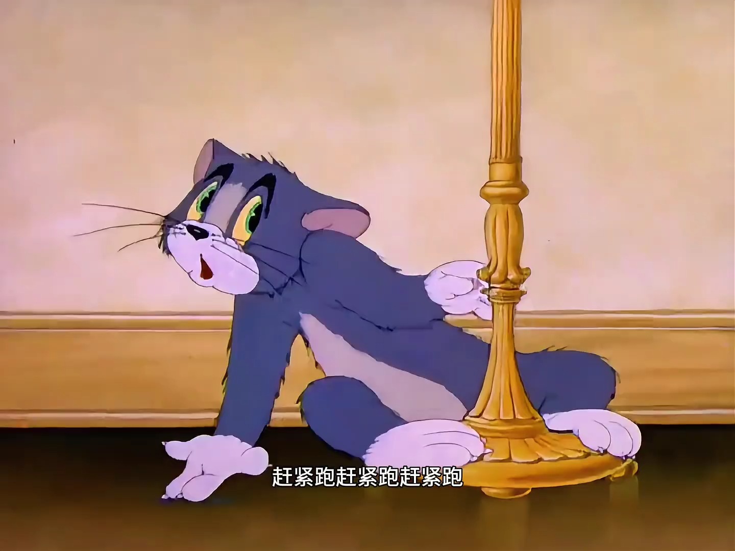 小老鼠跟汤姆猫共同协作