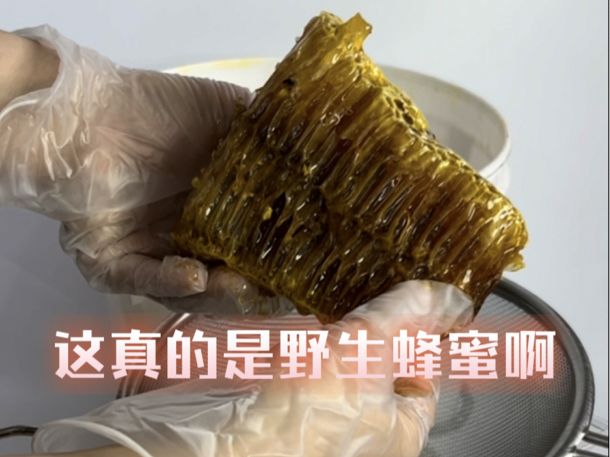 蜂蜜#野生蜂蜜#正宗野生蜂蜜#纯天然蜂蜜#蜂巢蜜