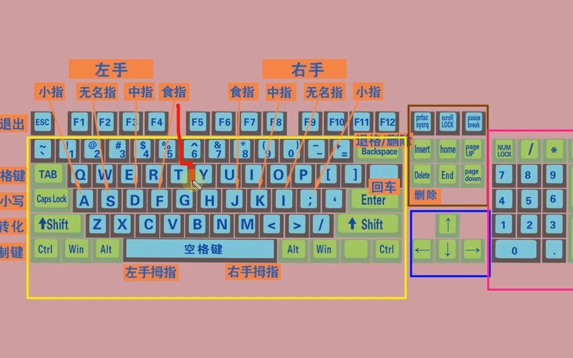 零基礎快速學拼音學五筆打字教程,鍵盤打字快速入門