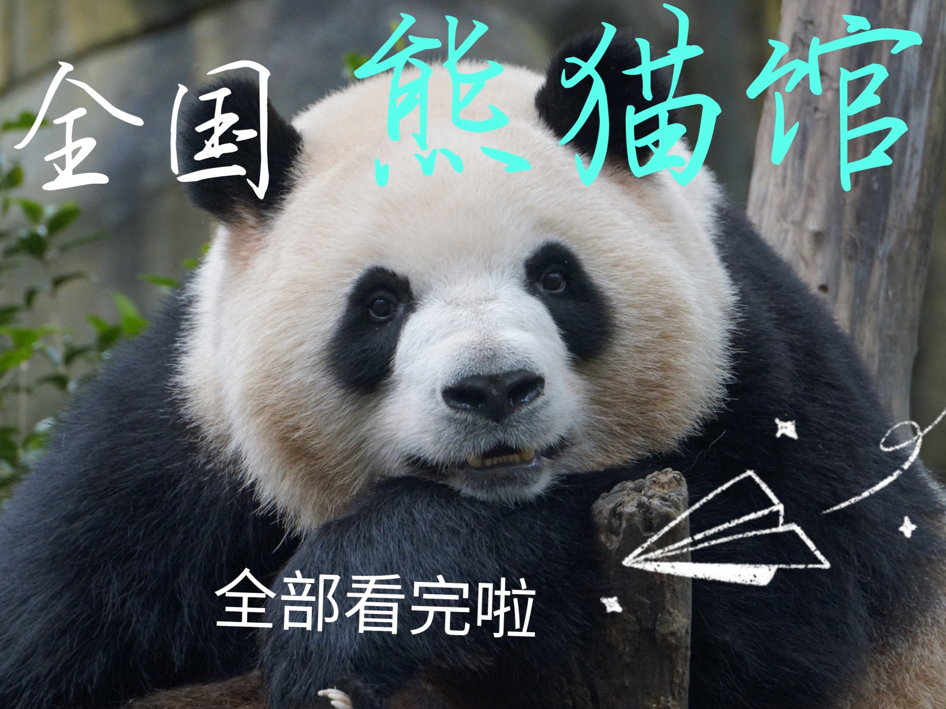 熊猫下载搜索网址=熊猫下载软件app