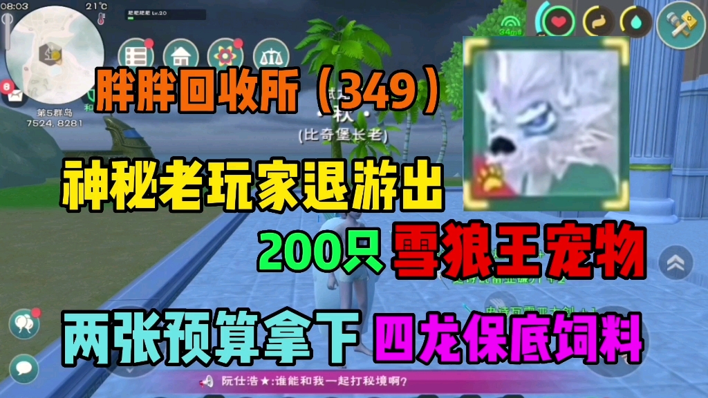 创造与魔法:神秘老玩家退游出200只雪狼王宠物 胖胖一脸懵逼?网络游戏热门视频