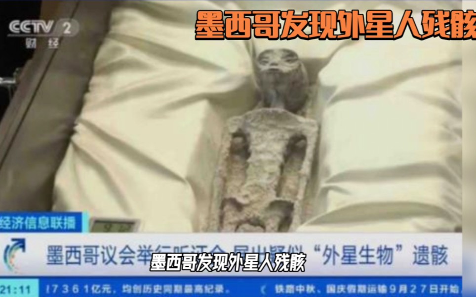 墨西哥惊现外星人?“外星生物”的遗骸也亮相了,再次引发了人们对外星人的遐想.秘鲁外星人遗体为人工合成哔哩哔哩bilibili