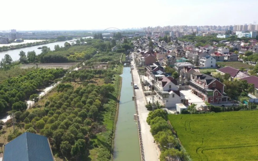 上海这个市级"示范村","美颜"刷新了新农村模式