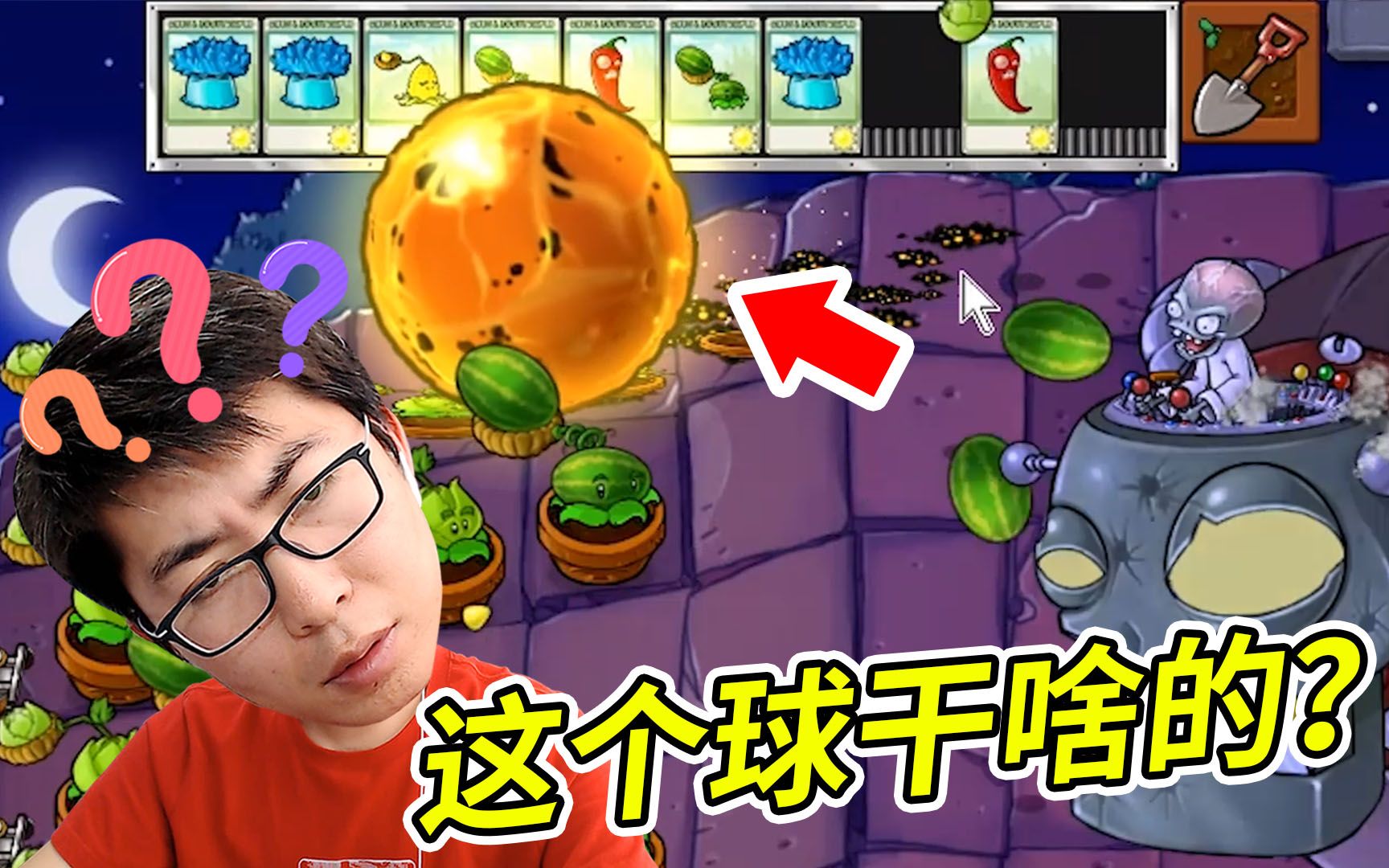 小宝趣玩_哔哩哔哩_bilibili