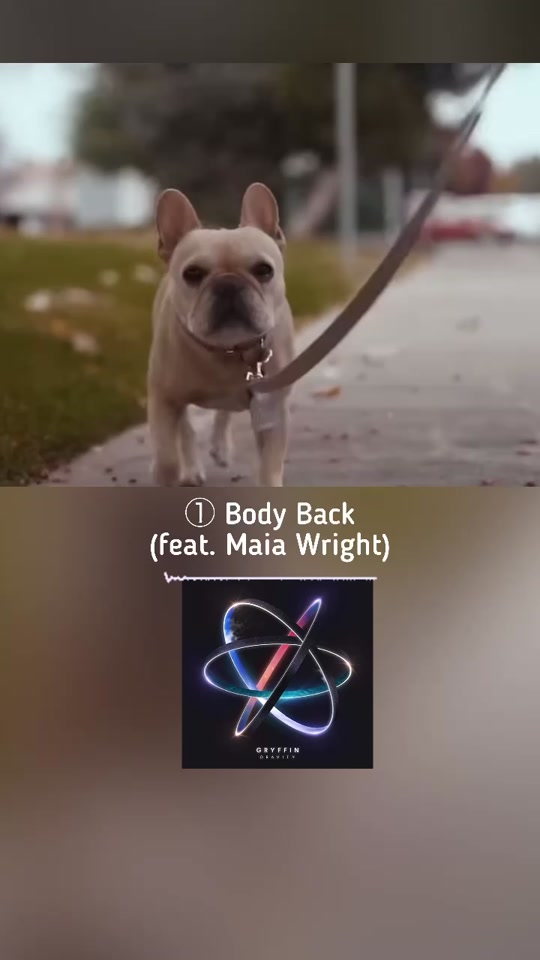 gryffin神安塞姆5选