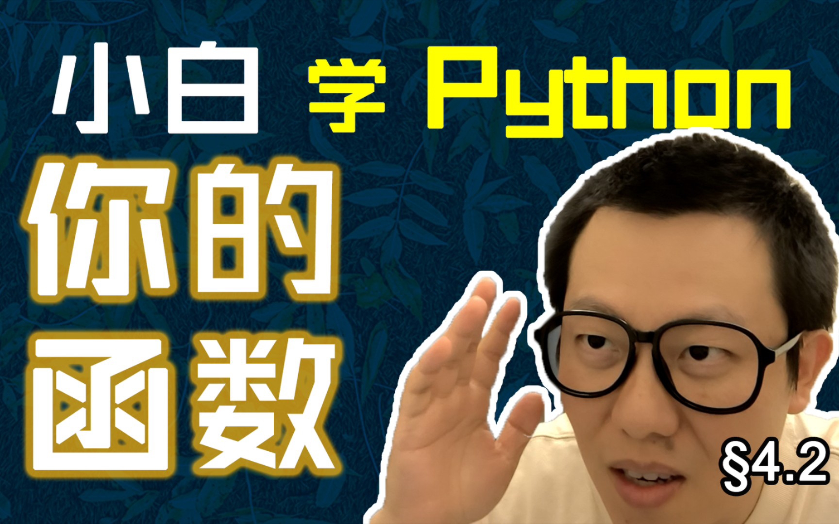 第4.2回 你的函数你定义,代码缩进要统一【零基础自学Python编程入门教程】#人人都能学Python #Python #编程哔哩哔哩bilibili