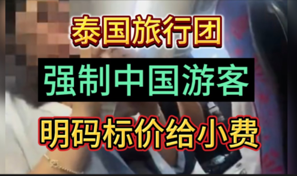 网友爆料:泰国跟团旅行,导游强制中国游客给小费,不给小费就威逼游客,说这是泰国旅游法律规定的,要明码标价给小费……是有这个规矩吗?哔哩哔...