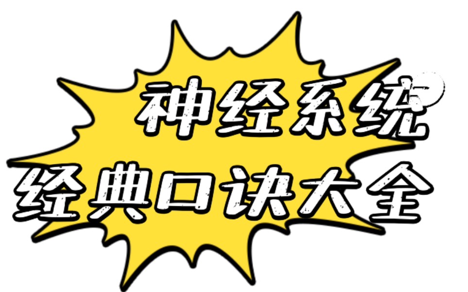 【医学生干货分享】神经系统—经典口诀大全哔哩哔哩bilibili