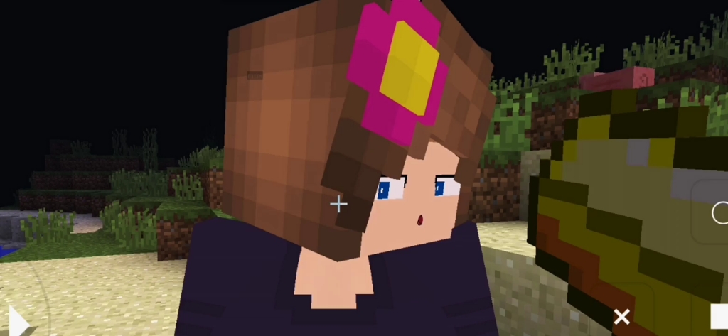 我的世界珍妮模组珍妮女孩系列 珍妮女孩为什么要这样子看着我 大家