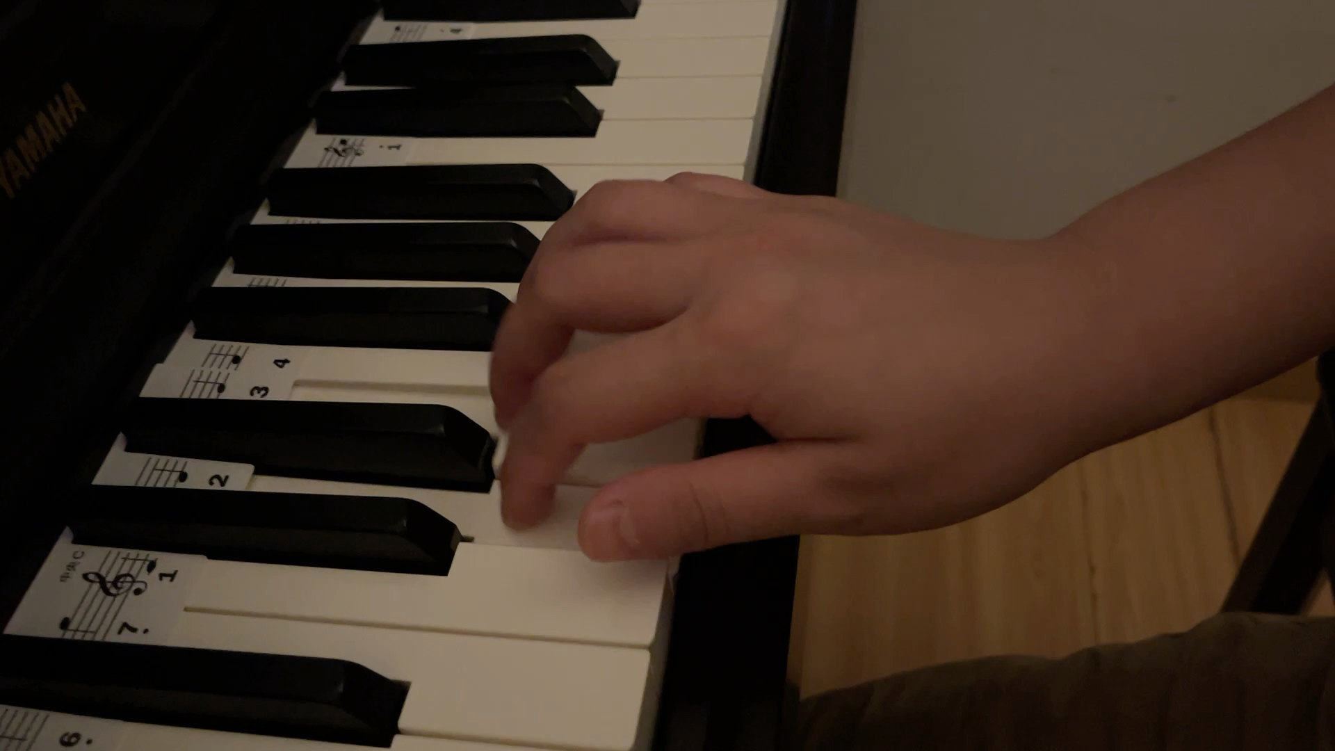 学习钢琴的第19天 阿尔贝蒂音型右手单独练习 弹的稀烂,毫无节奏感