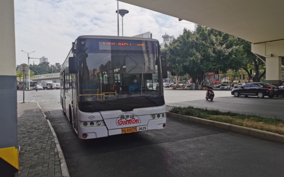 (封面非乘坐车型)南宁公交215路金桥站方向全程pov