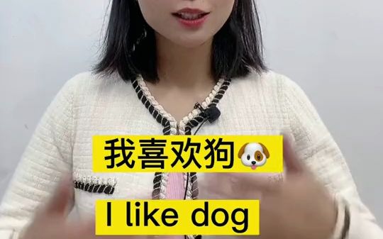 我喜欢狗,用英语怎么说呢?哔哩哔哩bilibili