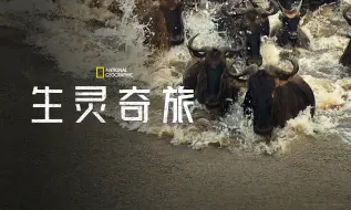 Download Video: 【纪录片】生灵奇旅 01 非洲雨水追逐之旅