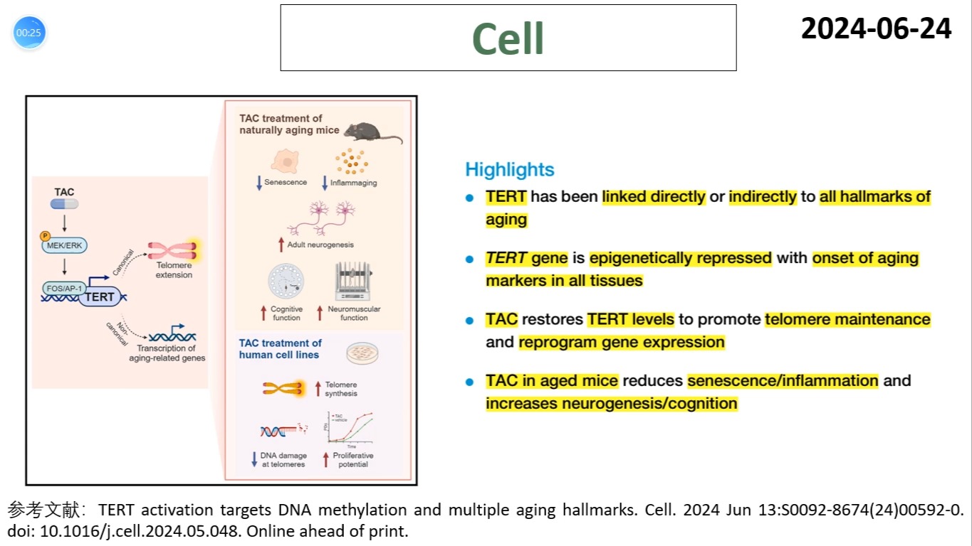 Cell—衰老研究重磅:TERT激活剂可延缓衰老并增强认知能力哔哩哔哩bilibili