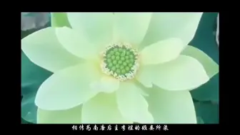 中华美色 中国传统赤色系色彩 第一集赤色 哔哩哔哩 Bilibili