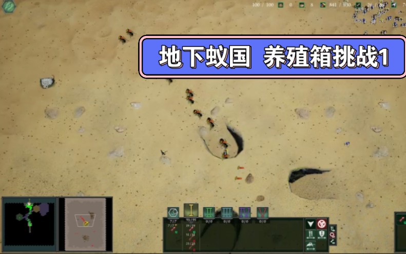 【地下蚁国独角仙】 地下蚁国 养殖箱挑战1 全程只用一级黑蚁过关
