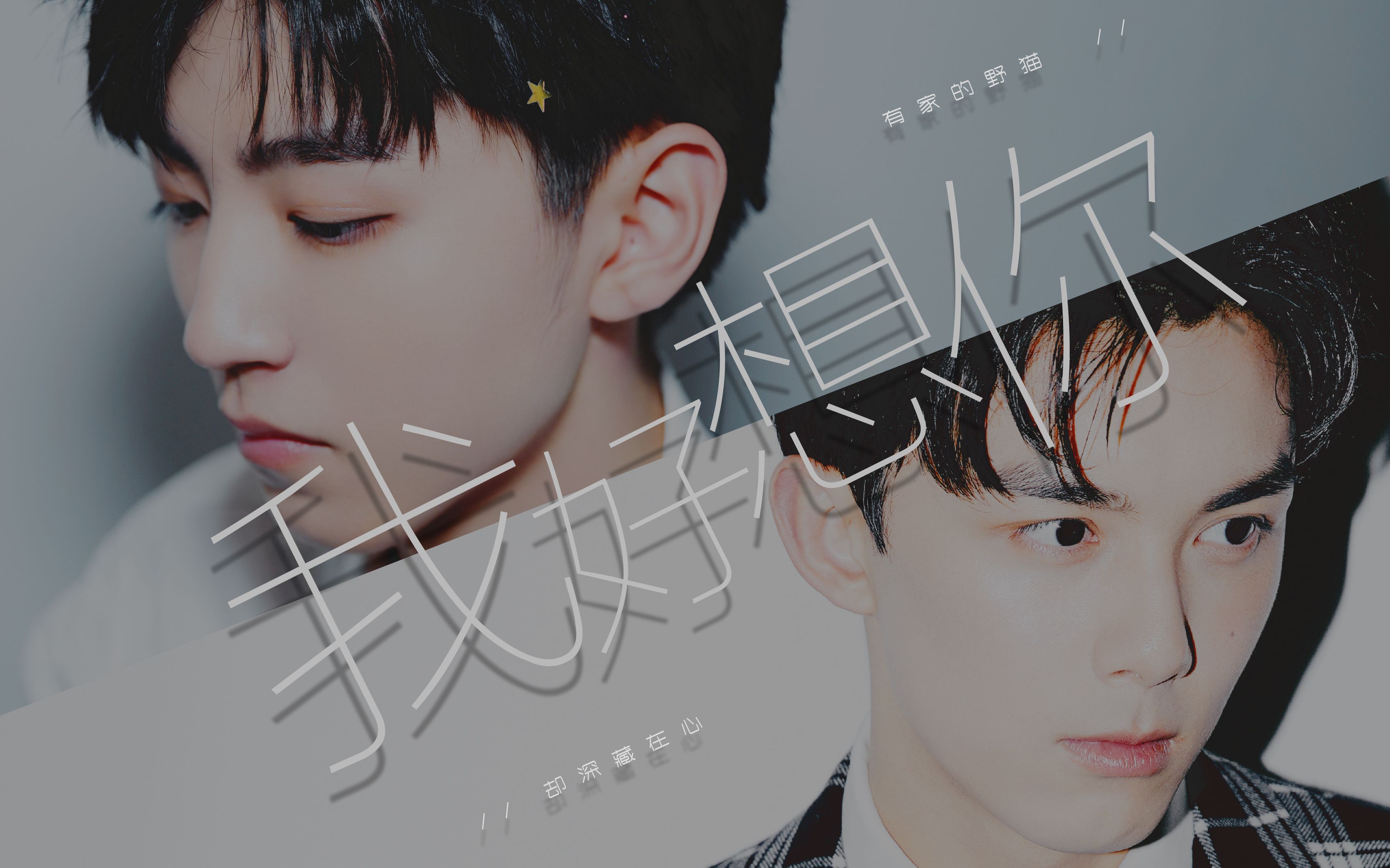 【磊凯】我好想你‖赠 浪子通缉