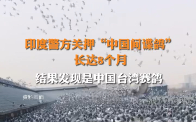 2月1日,据环球网报道, #印度警方关押中国间谍鸽长达8个月 结果发现是 #中国台湾赛鸽 .哔哩哔哩bilibili