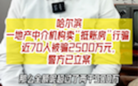 哈尔滨一地产中介机构卖“抵账房”行骗 近70人被骗2500万元,警方已立案深度解析哔哩哔哩bilibili